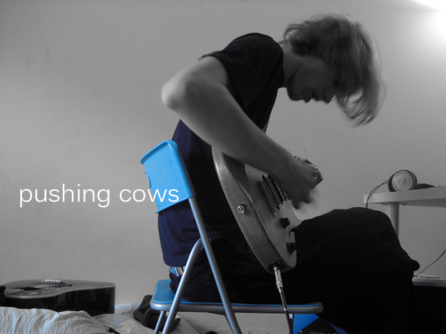 pushing cows
